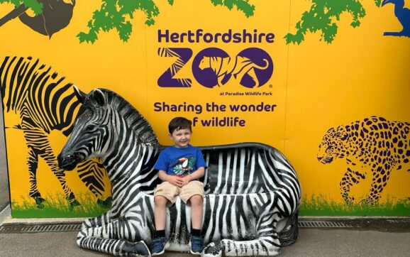 Roar into Adventure: Dinosaurs and Wildlife at Hertfordshire Zoo
