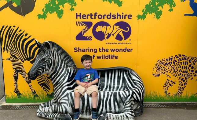 Roar into Adventure: Dinosaurs and Wildlife at Hertfordshire Zoo