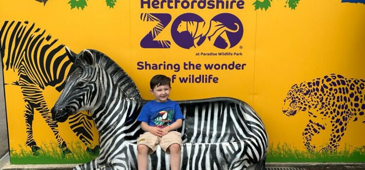 Roar into Adventure: Dinosaurs and Wildlife at Hertfordshire Zoo