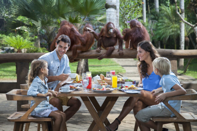 Family enjoying Breakfast With Orangutans at Bali Zoo