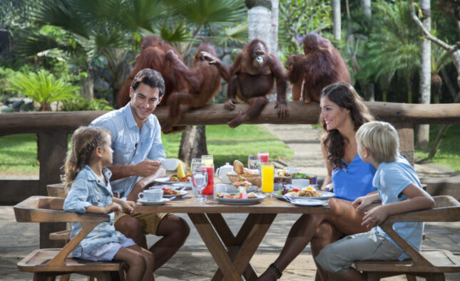 Family enjoying Breakfast With Orangutans at Bali Zoo
