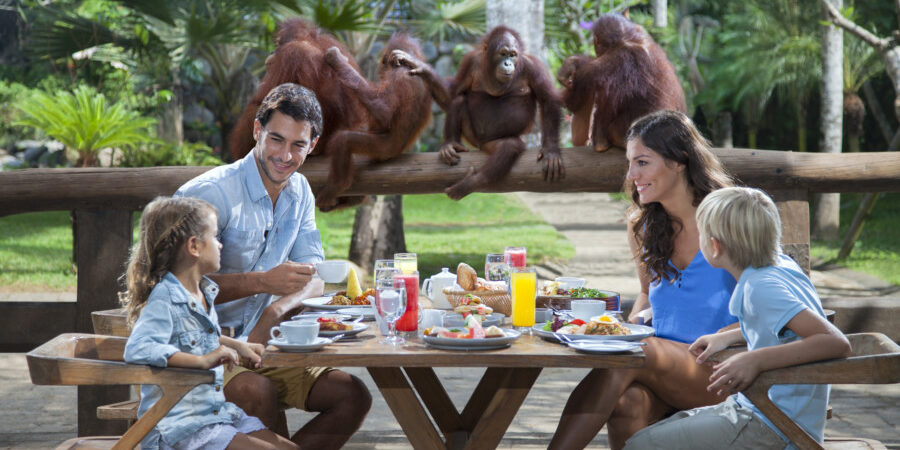 Papapreneurs Can Now Take Their Children To Dine With Orangutans And Ride Elephants in Bali Zoo