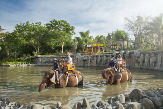 Family enjoying elephant rides at Bali Zoo