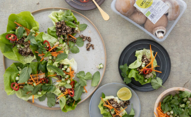 Papapreneurs Don’t Mince Words… They Mince Mushrooms!