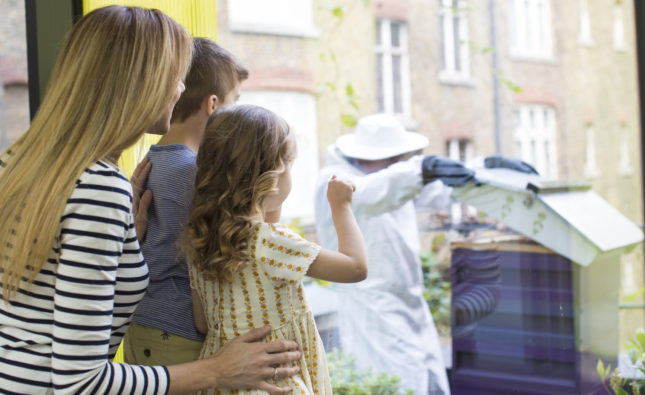 St Ermin’s Hotel: Family-friendly luxury in Westminster
