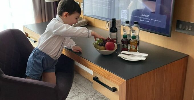 Stunning Views & Superb Service at Park Plaza County Hall London