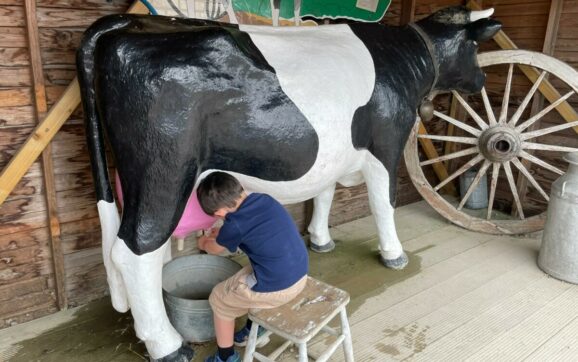 Barnyard Bliss: Exploring Old MacDonald’s Farm & Fun Park