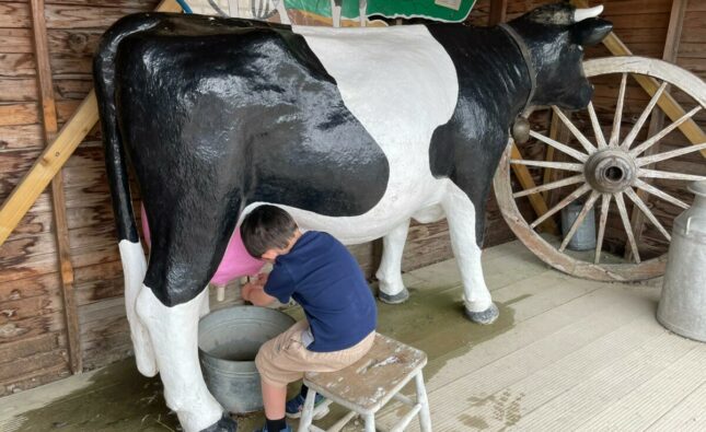 Barnyard Bliss: Exploring Old MacDonald’s Farm & Fun Park