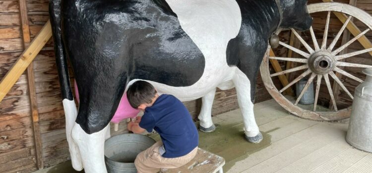 Barnyard Bliss: Exploring Old MacDonald’s Farm & Fun Park