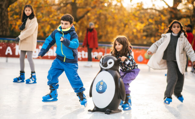 Winter Wonderland: The Ultimate Family Day Out