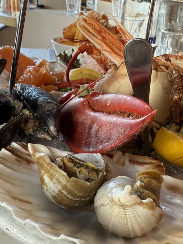 Whelks at The Seafood Bar London